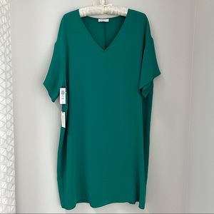 Never worn Babaton green silk dress.